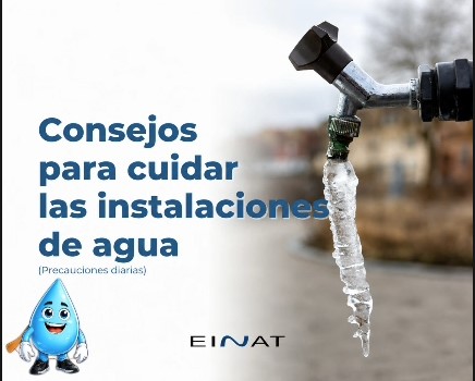 Consejo